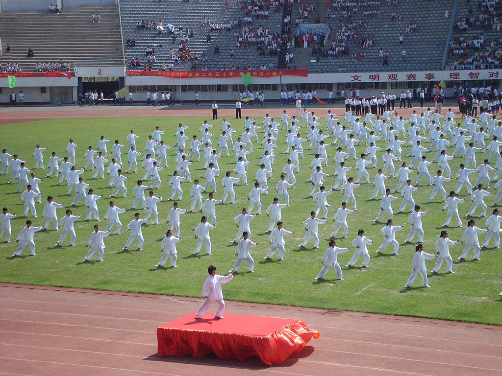 在市体育场进行太极拳表演